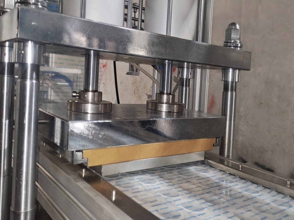 BXPP-350S PP blister packing machine complex structure