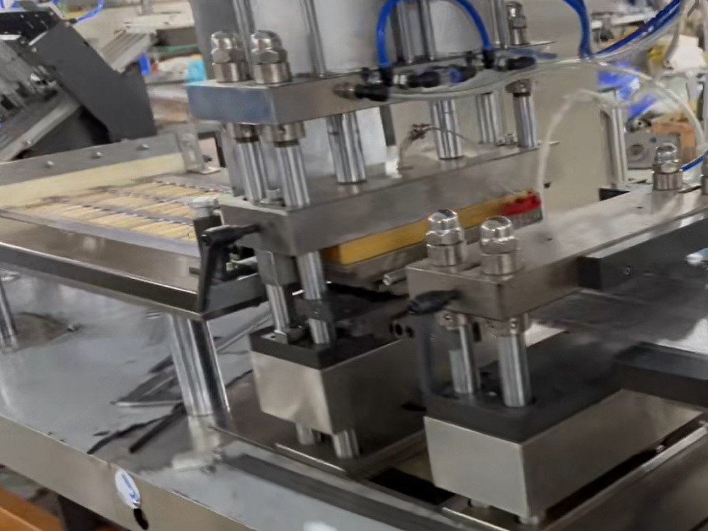 pharmaceutical blister packaging machine forming sealing